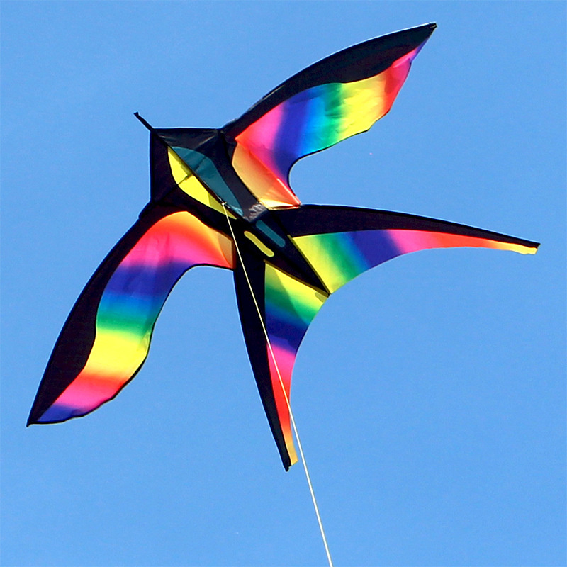 Kite Easy Fly Kids - Cometa de pájaro de arcoíris colorido
