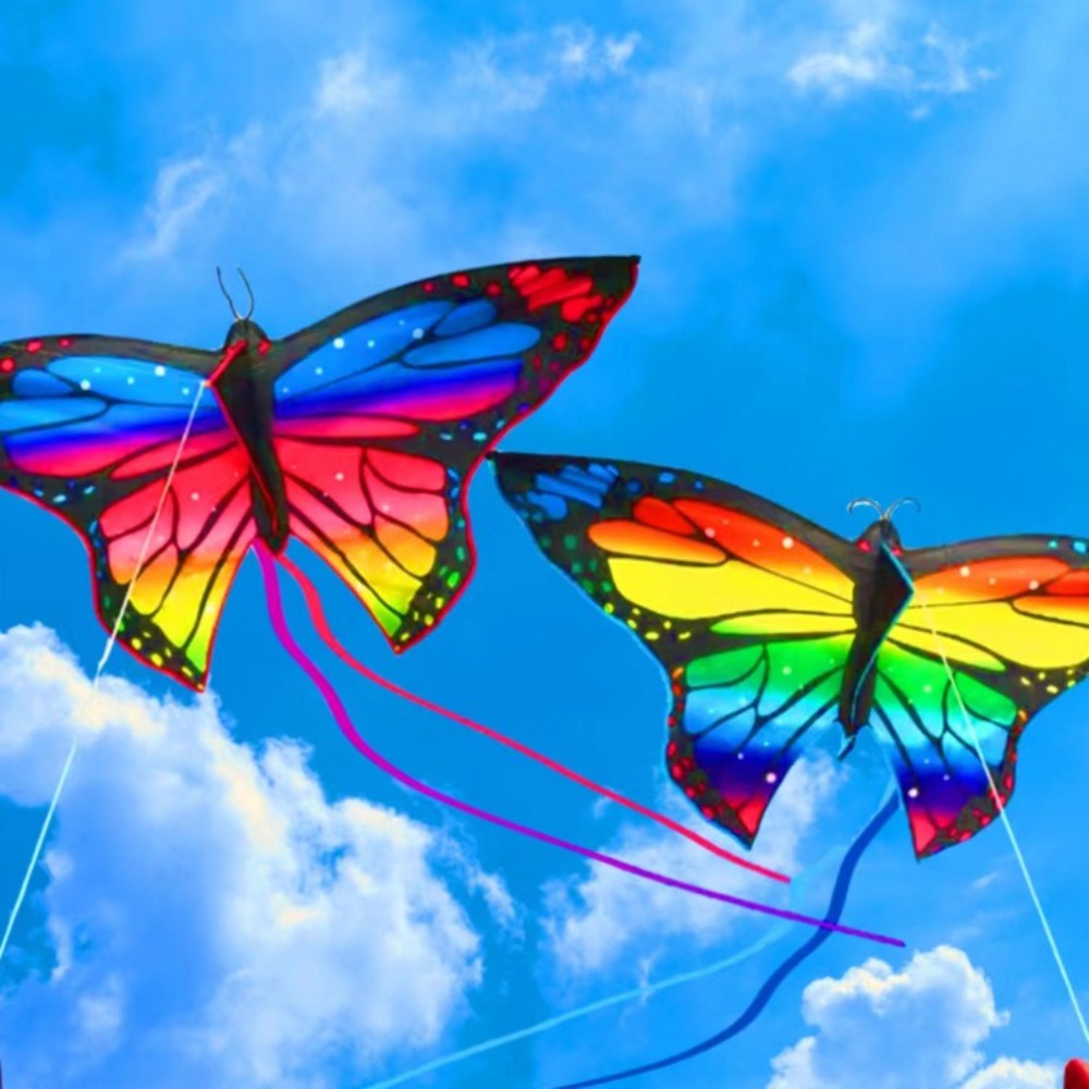Cometa de mariposa colorida fá - Kite Easy Fly Kids reseña y precio