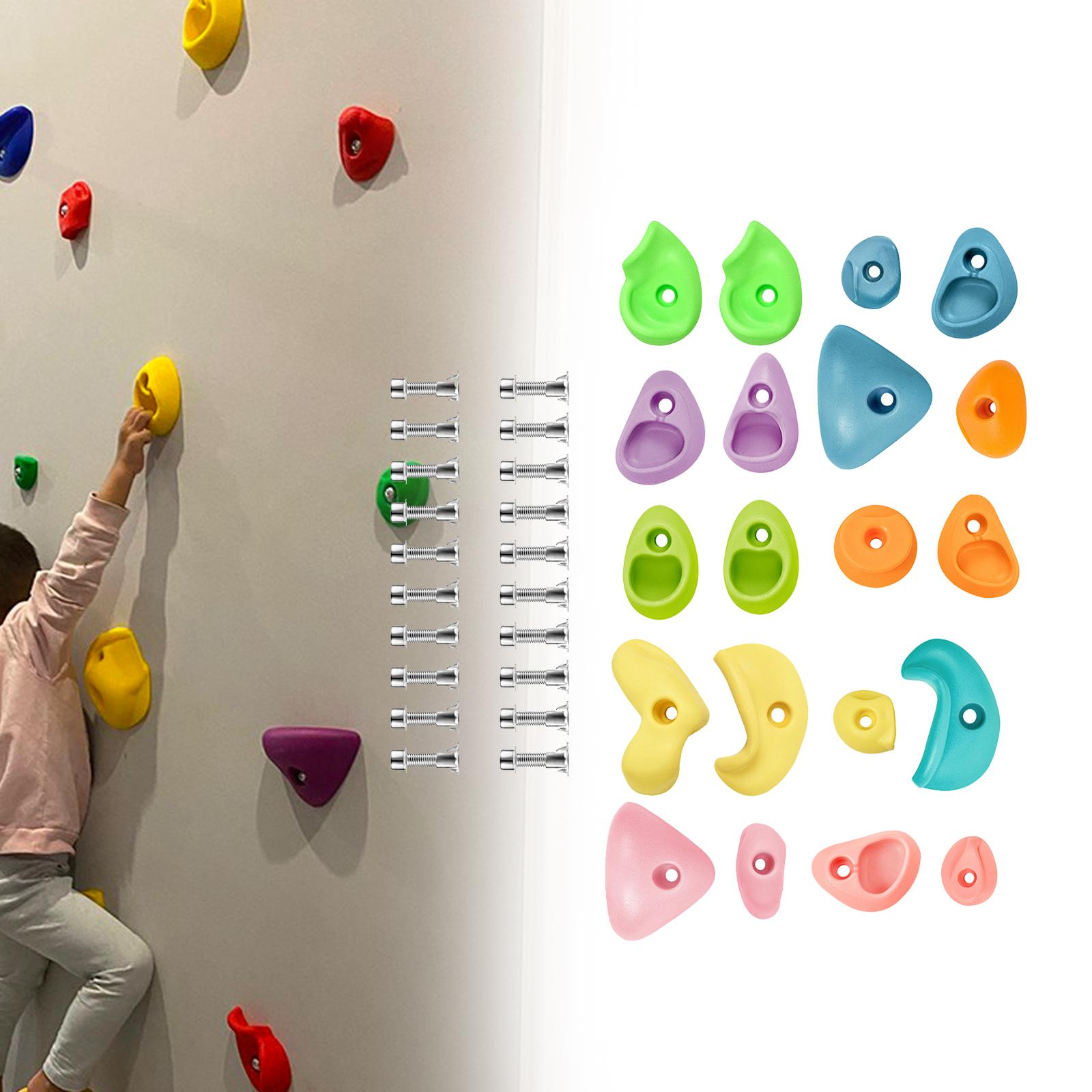 El escalada en roca sostiene l - Kids Outdoor Climbing Equipment reseña y precio