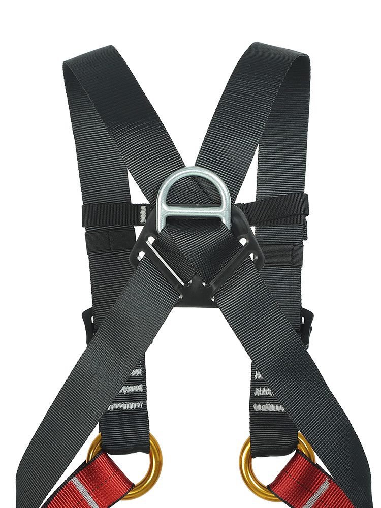 Cinturón de Seguridad para Niñ - Kids Outdoor Climbing Equipment reseña y precio