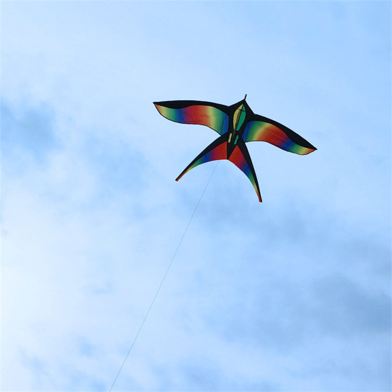 Cometa de pájaro de arcoíris c - Kite Easy Fly Kids reseña y precio