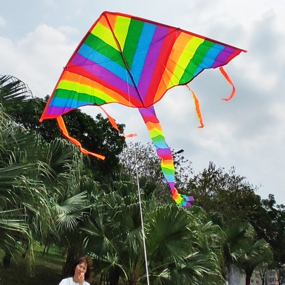 Nuevo diseño, cometa de arcoír - Kite Easy Fly Kids reseña y precio