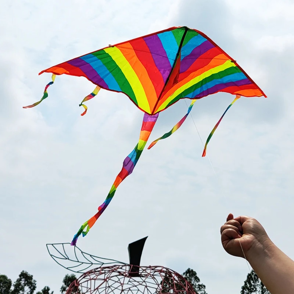Nuevo diseño, cometa de arcoír - Kite Easy Fly Kids reseña y precio