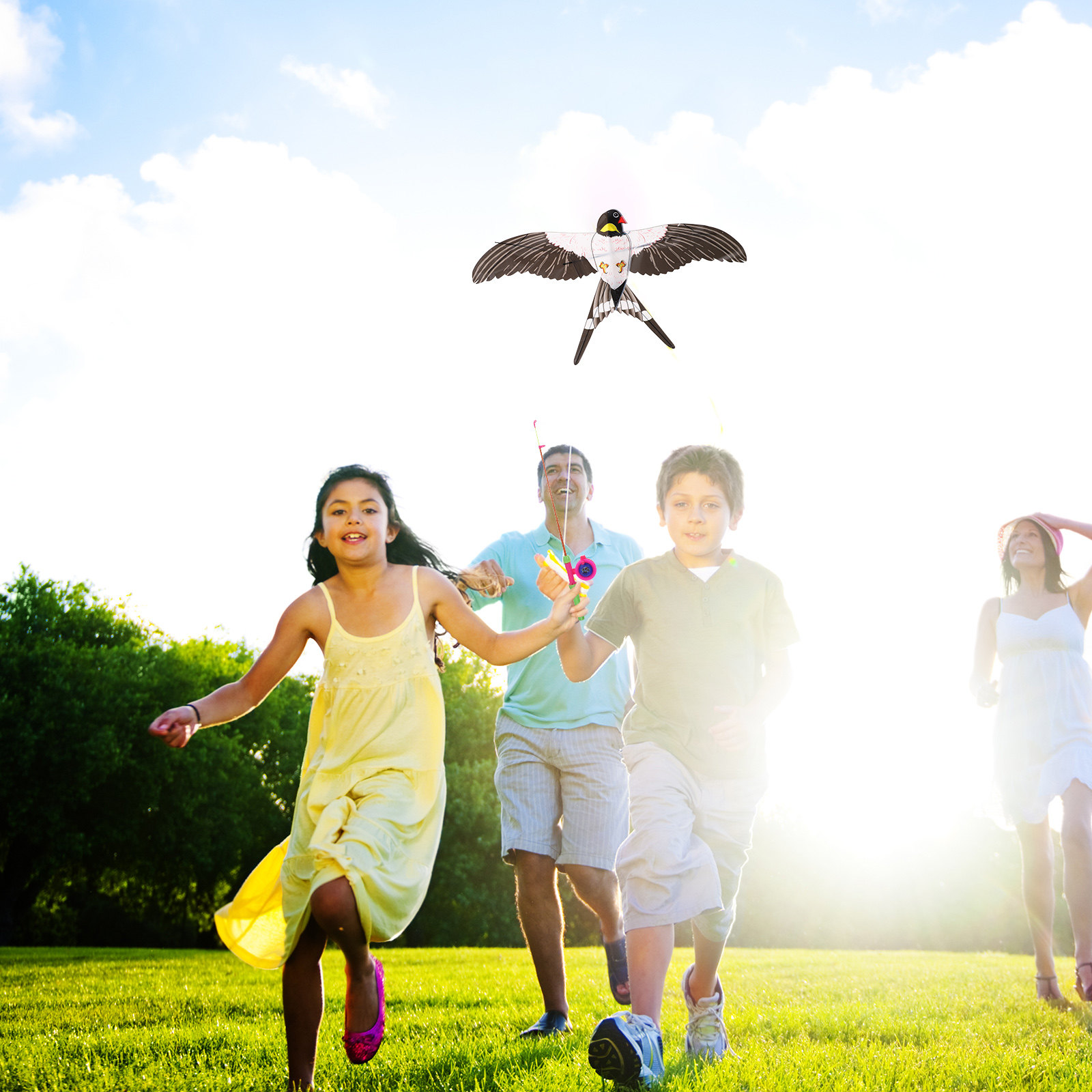 Cometa de Pájaro Fácil de Vola - Kite Easy Fly Kids reseña y precio